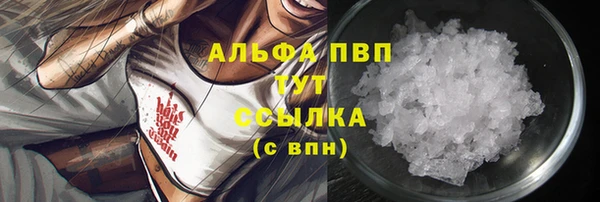 индика Абдулино