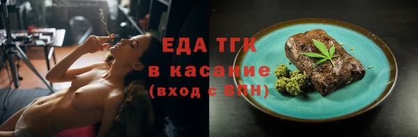хмурый Абаза