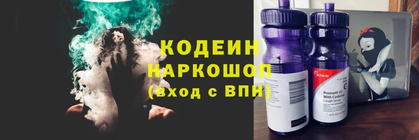 хмурый Абаза