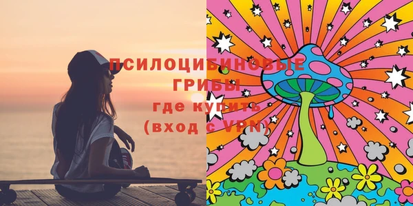 хмурый Абаза