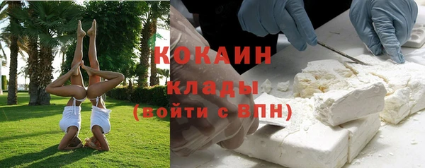 хмурый Абаза