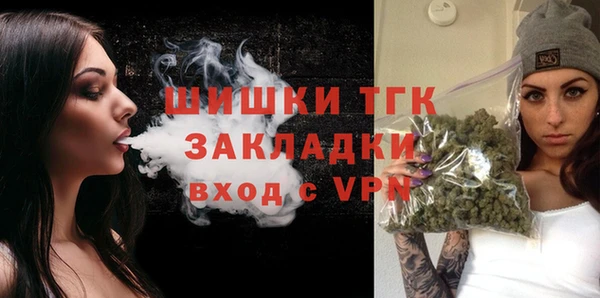 индика Абдулино